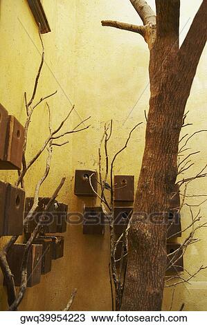 Birdhouses on a wall View Large Photo Image Stock Image - Birdhouses on a wall. Fotosearch