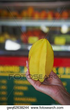 Close-up of a person's hand holding a star fruit View Large Photo Image Picture - Close-up of a person's hand holding a star fruit. Fotosearch