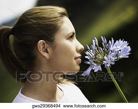 Close-up of a young woman smelling a flower and thinking View Large Photo Image Picture - Close-up of a young woman smelling a flower and thinking. Fotosearch