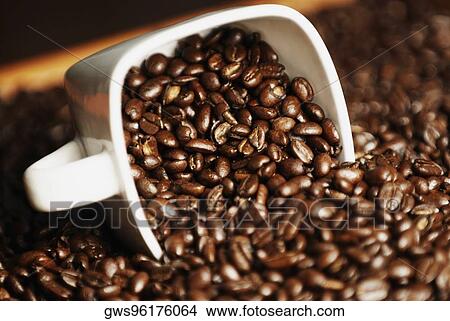 Close-up of coffee beans in a cup View Large Photo Image Picture - Close-up of coffee beans in a cup. Fotosearch
