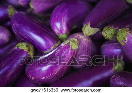 Close-up of eggplants View Large Photo Image Stock Photograph - Close-up of eggplants. Fotosearch