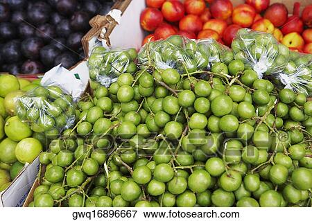 Close-up of fruits at a market stall View Large Photo Image Stock Photo - Close-up of fruits at a market stall. Fotosearch