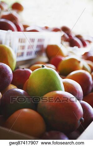 Stock Photo - Close-up of mangoes at a fruit stand. Fotosearch