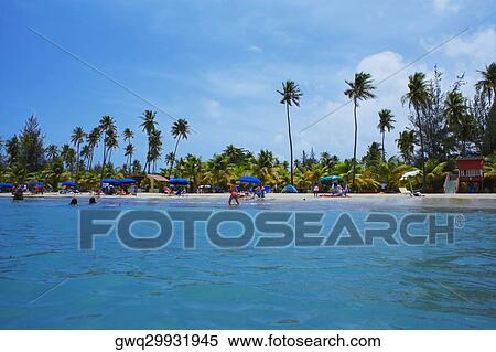 Group of people on the beach, Luquillo Beach, Puerto Rico View Large Photo Image Stock Photography - Group of people on the beach, Luquillo Beach, Puerto Rico. Fotosearch