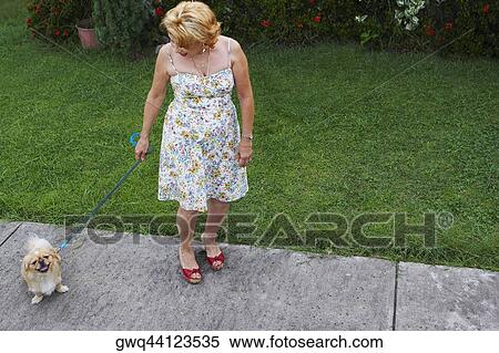Stock Photography - High angle view of a senior woman standing with a dog in a lawn. Fotosearch