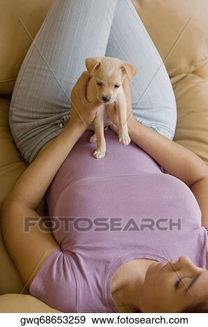 High angle view of a young woman lying on a couch with a puppy on her View Large Photo Image Stock Photo - High angle view of a young woman lying on a couch with a puppy on her. Fotosearch