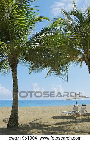 Lounge chairs under patio umbrellas on the beach, Ocean Park, El Condado, San Juan, Puerto Rico View Large Photo Image Picture - Lounge chairs under patio umbrellas on the beach, Ocean Park, El Condado, San Juan, Puerto Rico. Fotosearch