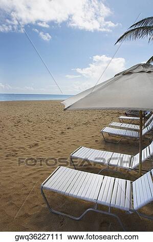 Lounge chairs under sunshades on the beach View Large Photo Image Stock Image - Lounge chairs under sunshades on the beach. Fotosearch