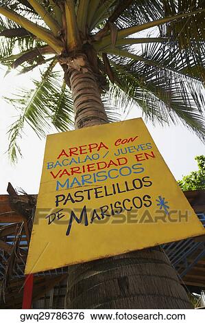 Stock Photograph - Low angle view of an information board on a Palm tree, Puerto Rico. Fotosearch