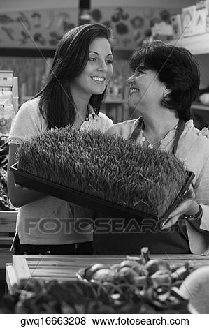 Mature woman and her daughter standing with a tray of wheatgrass in a grocery store and smiling View Large Photo Image Stock Photo - Mature woman and her daughter standing with a tray of wheatgrass in a grocery store and smiling. Fotosearch