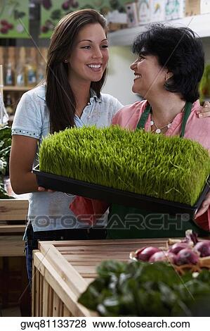 Stock Photo - Mature woman and her daughter standing with a tray of wheatgrass in a grocery store and smiling. Fotosearch