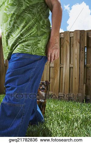 Stock Photograph - Mid section view of a senior woman walking in a lawn with a dog sitting in the background. Fotosearch