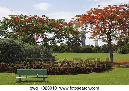Park bench in a garden View Large Photo Image Stock Image - Park bench in a garden. Fotosearch