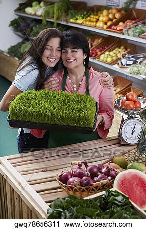 Portrait of a mature woman and her daughter standing with a tray of wheatgrass in a grocery store and smiling View Large Photo Image Stock Image - Portrait of a mature woman and her daughter standing with a tray of wheatgrass in a grocery store and smiling. Fotosearch