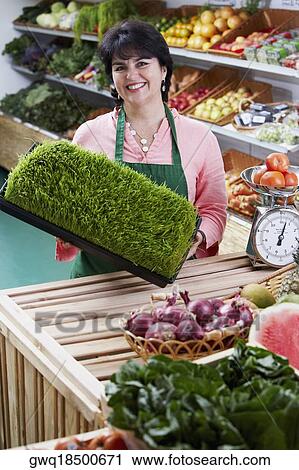 Stock Image - Portrait of a mature woman holding a box of wheatgrass. Fotosearch
