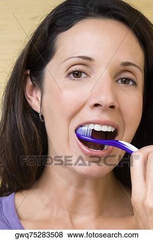 Portrait of a mid adult woman brushing her teeth View Large Photo Image Stock Photo - Portrait of a mid adult woman brushing her teeth. Fotosearch