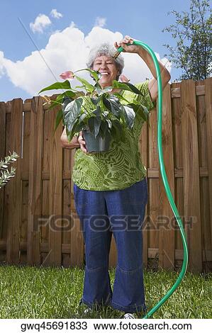 Portrait of a senior woman watering a potted plant View Large Photo Image Stock Image - Portrait of a senior woman watering a potted plant. Fotosearch
