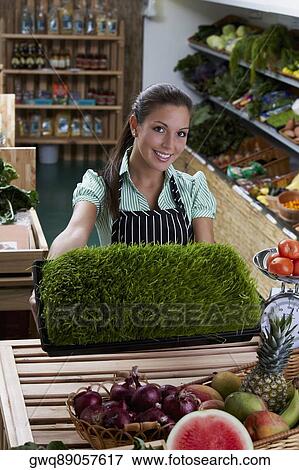 Portrait of a young woman showing a tray of wheatgrass and smiling View Large Photo Image Stock Photo - Portrait of a young woman showing a tray of wheatgrass and smiling. Fotosearch