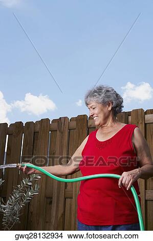 Senior woman watering a plant View Large Photo Image Picture - Senior woman watering a plant. Fotosearch