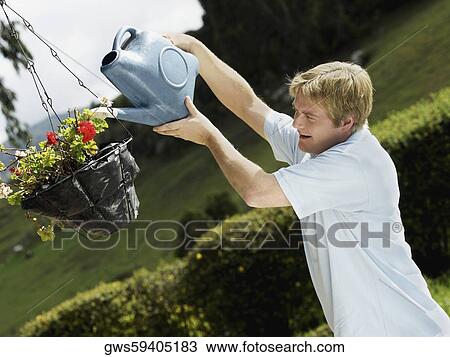 Side profile of a mid adult man watering a potted plant View Large Photo Image Stock Image - Side profile of a mid adult man watering a potted plant. Fotosearch