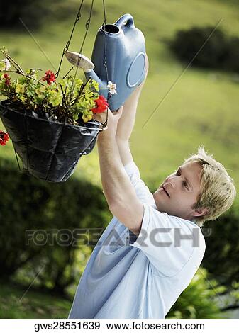 Side profile of a mid adult man watering a potted plant View Large Photo Image Stock Photo - Side profile of a mid adult man watering a potted plant. Fotosearch
