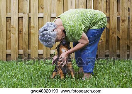 Side profile of a senior woman kissing a dog View Large Photo Image Stock Image - Side profile of a senior woman kissing a dog. Fotosearch