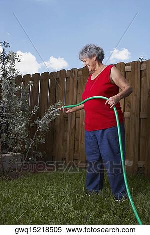 Side profile of a senior woman watering a plant View Large Photo Image Stock Photography - Side profile of a senior woman watering a plant. Fotosearch