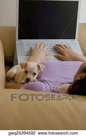 Young woman lying on a couch and working on a laptop with a puppy beside her View Large Photo Image Stock Image - Young woman lying on a couch and working on a laptop with a puppy beside her. Fotosearch