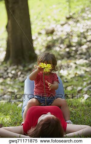 Young woman lying on grass with her daughter sitting on her stomach View Large Photo Image Stock Photography - Young woman lying on grass with her daughter sitting on her stomach. Fotosearch