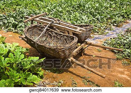 Agriculture equipments in a field, Zhigou, Shandong Province, China View Large Photo Image Stock Photo - Agriculture equipments in a field, Zhigou, Shandong Province, China. Fotosearch
