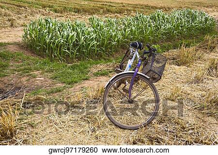 Bicycle in a field, Zhigou, Shandong Province, China View Large Photo Image Stock Image - Bicycle in a field, Zhigou, Shandong Province, China. Fotosearch