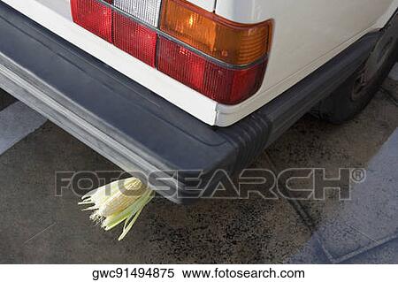 Close-up of a corncob in a exhaust pipe View Large Photo Image Stock Photography - Close-up of a corncob in a exhaust pipe. Fotosearch