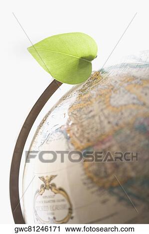 Close-up of a leaf on a globe View Large Photo Image Stock Image - Close-up of a leaf on a globe. Fotosearch