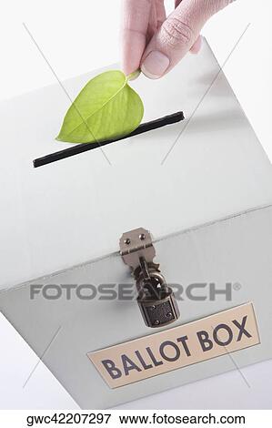 Stock Photo - Close-up of a person's hand inserting a leaf into a ballot box. Fotosearch