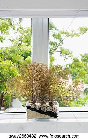 Close-up of a potted plant on a window sill View Large Photo Image Stock Image - Close-up of a potted plant on a window sill. Fotosearch