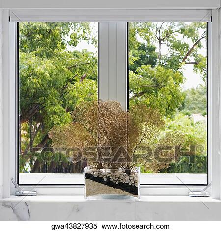 Close-up of a potted plant on a window sill View Large Photo Image Stock Photography - Close-up of a potted plant on a window sill. Fotosearch