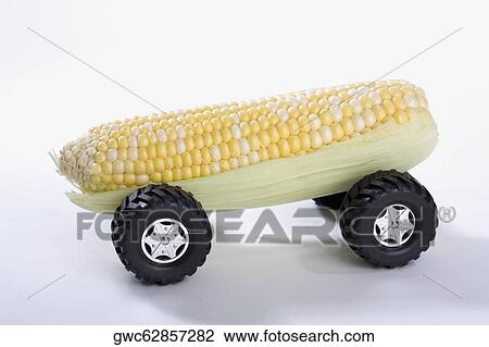 Close-up of a sweet corn car View Large Photo Image Stock Image - Close-up of a sweet corn car. Fotosearch