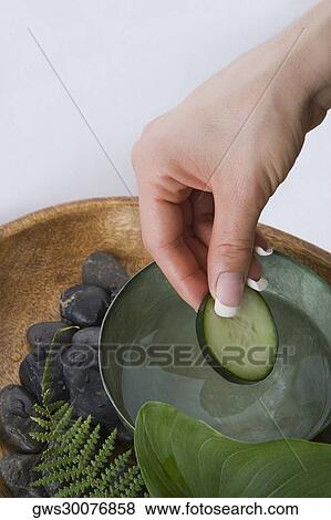Close-up of a woman's hand holding a cucumber View Large Photo Image Stock Photo - Close-up of a woman's hand holding a cucumber. Fotosearch