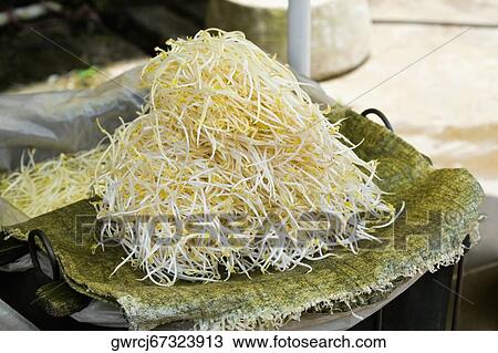Stock Image - Close-up of bean sprouts, Fuli Village, Yangshuo, Guangxi Province, China. Fotosearch