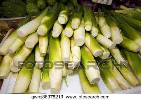 Close-up of celery stalks at a market stall, Hong Kong Island, Hong Kong, China View Large Photo Image Stock Photo - Close-up of celery stalks at a market stall, Hong Kong Island, Hong Kong, China. Fotosearch