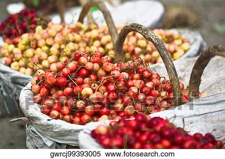Close-up of cherries at a market stall, Tai'an, Shandong Province, China View Large Photo Image Stock Photography - Close-up of cherries at a market stall, Tai'an, Shandong Province, China. Fotosearch