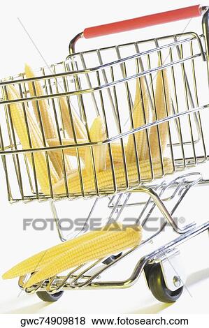 Close-up of corns in a shopping cart View Large Photo Image Stock Photo - Close-up of corns in a shopping cart. Fotosearch