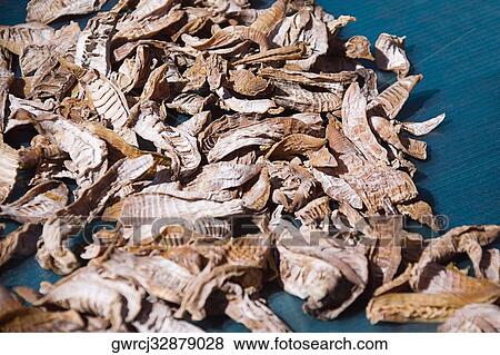 Close-up of dried fish, Emerald Valley, Huangshan, Anhui Province, China View Large Photo Image Stock Photo - Close-up of dried fish, Emerald Valley, Huangshan, Anhui Province, China. Fotosearch