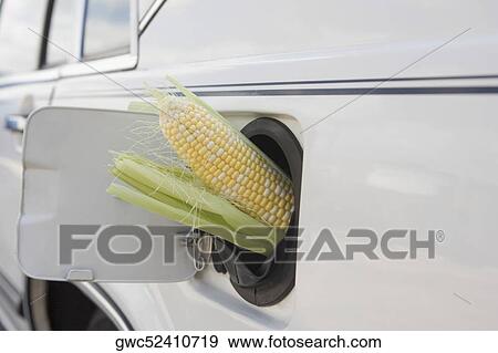 Corn cob in car gas tank filler View Large Photo Image Stock Photo - Corn cob in car gas tank filler. Fotosearch