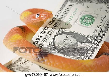 Stock Photo - Figurine of a snake wrapped around US paper currency. Fotosearch