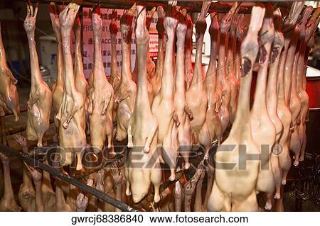 Goose meat hanging at a butcher's shop, Qingdao, Shandong Province, China View Large Photo Image Stock Image - Goose meat hanging at a butcher's shop, Qingdao, Shandong Province, China. Fotosearch