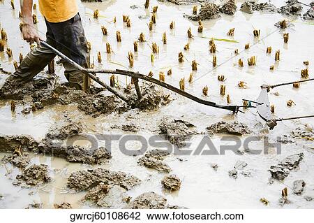 Stock Image - High angle view of a farmer ploughing, Yangshuo, Guangxi Province, China. Fotosearch