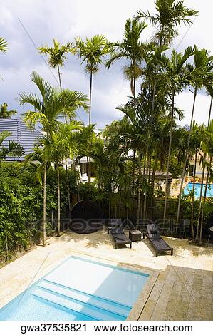 Stock Image - Lounge chairs at the poolside. Fotosearch