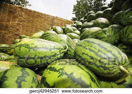 Stock Image - Low angle view of a heap of watermelons, Zhigou, Shandong Province, China. Fotosearch