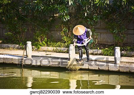 Man fishing in the lake, Guilin, Guangxi Province, China View Large Photo Image Stock Photo - Man fishing in the lake, Guilin, Guangxi Province, China. Fotosearch